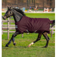 Manta Horseware Amigo Hero Ripstop Turnout forrada con polar 50g Higo / higo Burdeos Manta Horseware Amigo Hero Ripstop Turnout forrada con polar 50g Higo / higo Burdeos