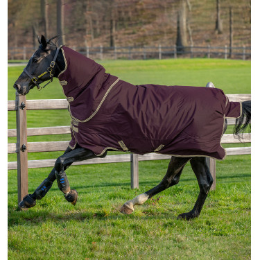 Manta Horseware Amigo Hero Ripstop Plus con cubrecuello 0g Higo / marino Manta Horseware Amigo Hero Ripstop Plus con cubrecuello 0g Higo / marino