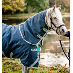 Manta Horseware Amigo AmEco 12 Plus 100g Verde azulado / gris Manta Horseware Amigo AmEco 12 Plus 100g Verde azulado / gris