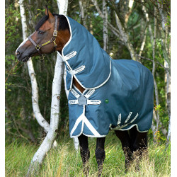 Manta Horseware Amigo AmEco 12 Plus 100g Verde azulado / gris Manta Horseware Amigo AmEco 12 Plus 100g Verde azulado / gris
