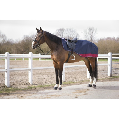 COUVRE REINS EQUI THEME TYREX 1680 D
