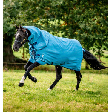 Manta Horseware Amigo Hero 900 Revive Plus 200g Manta Horseware Amigo Hero 900 Revive Plus 200g
