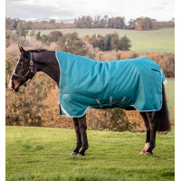 Manta Horseware Amigo Bravo 12 Wug 0g Verde tormenta / turquesa Manta Horseware Amigo Bravo 12 Wug 0g Verde tormenta / turquesa