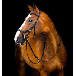 Brida Horseware Micklem 2 Deluxe Competition riendas de goma