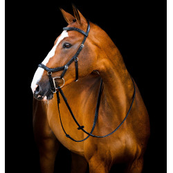 Brida Horseware Micklem 2 Deluxe Competición
