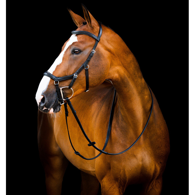Brida Horseware Micklem 2 Deluxe Competición