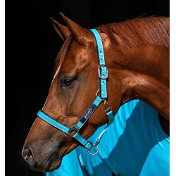 Cabezada Horseware Amigo Cabezada Horseware Amigo