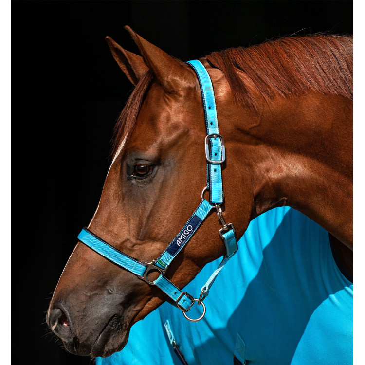 Cabezada Horseware Amigo Cabezada Horseware Amigo