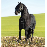 new Negro / negro / plata