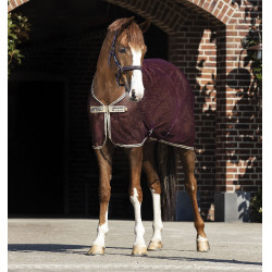 Camisa secante de malla Horseware Amigo 0g Camisa secante de malla Horseware Amigo 0g