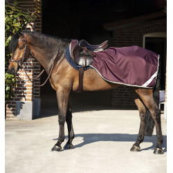 Cubre-riñones Horseware Amigo Competition Ripstop