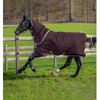 Manta Horseware Amigo Hero Ripstop Plus con cuello 200g Higo / plata
