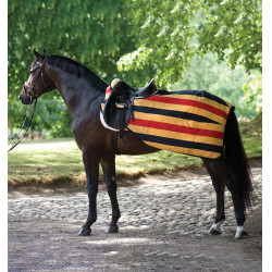 Cubre-riones Horseware Rambo polar 0g