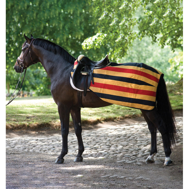 Cubre-riones Horseware Rambo polar 0g