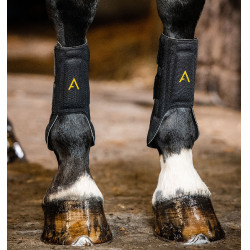 Guarniciones Horseware Adagio
