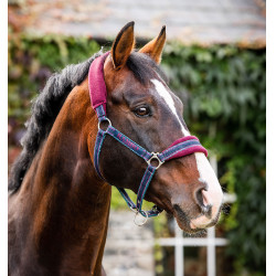 Cabezada Horseware Rambo forrada de forro polar Cabezada Horseware Rambo forrada de forro polar