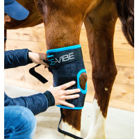 Protectores de corvejones Horseware Ice-Vibe Negro / azul aqua