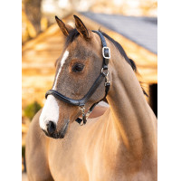 Cabezada de cepillado LeMieux de cuero Castaño Marr&amp;oacute;n