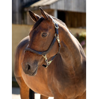 Cabezada de cepillado LeMieux de cuero Castaño Marrón Cabezada de cepillado LeMieux de cuero Castaño Marrón