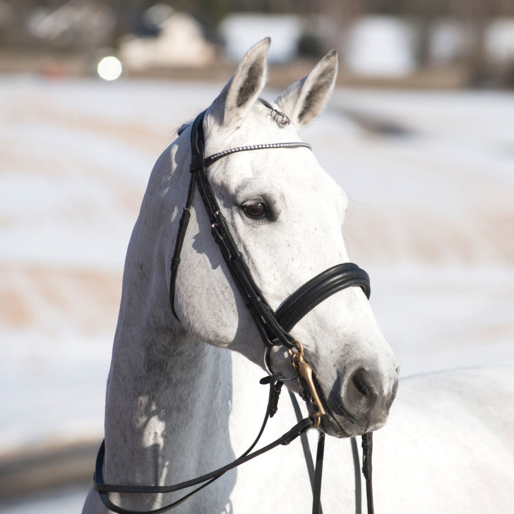 Brida Weymouth Vienna Horze Brida Weymouth Vienna Horze
