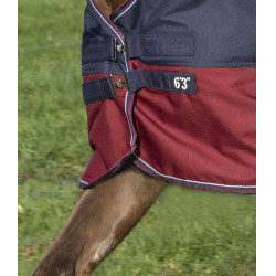 Manta Equi-Theme Tyrex 1200 D High Neck Azúl marino / burdeos Manta Equi-Theme Tyrex 1200 D High Neck Azúl marino / burdeos