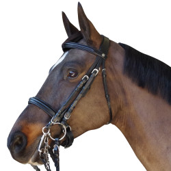 Brida Pull Back Euro Chetak Brida Pull Back Euro Chetak