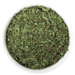Menta planta Hilton Herbs