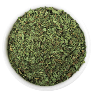 Menta planta Hilton Herbs