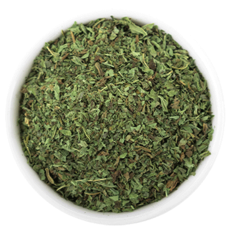 Menta planta Hilton Herbs