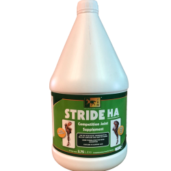 copy of Stride HA TRM