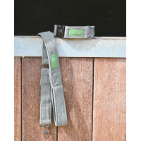 Pack Collarín y Correa GEM Caqui Kaki