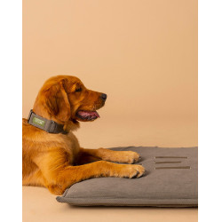Alfombra para perro GEM 60 x 80 cm Alfombra para perro GEM 60 x 80 cm