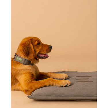 Alfombra para perro GEM 60 x 80 cm Alfombra para perro GEM 60 x 80 cm