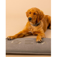 Alfombra para perro GEM 40 x 60 cm Caqui Kaki Alfombra para perro GEM 40 x 60 cm Caqui Kaki
