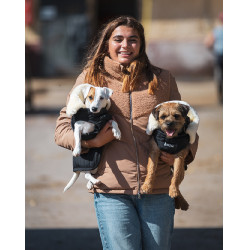 Cobertura para perro GEM Cobertura para perro GEM
