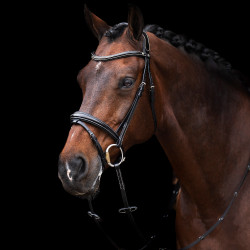Brida HV Polo Legacy