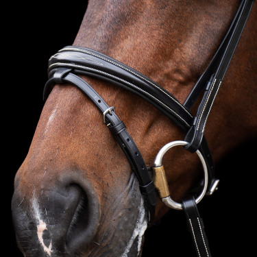 Brida HV Polo Legacy Brida HV Polo Legacy