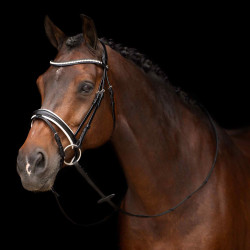 Brida HV Polo Legacy deluxe Negro blanco