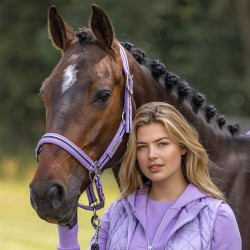 Cabezada HV Polo Classic Stripe Púrpura Violeta