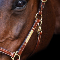 Cabezada HV Polo Legacy Castaño Marr&amp;amp;amp;oacute;n