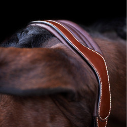 Cabezada HV Polo Legacy Castaño Marr&amp;amp;amp;oacute;n