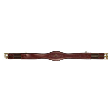 Cincha pectoral HV Polo Legacy