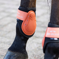 Guarniciones y protectores de menudillo HV Polo Classic Flor de rosa