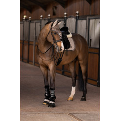 Campanas HV Polo Francis Campanas HV Polo Francis