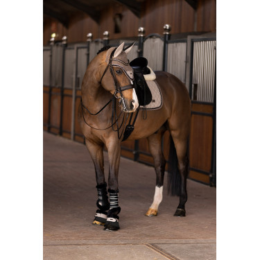 Campanas HV Polo Francis Campanas HV Polo Francis