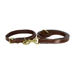 Correa para perro HV Polo Legacy Castaño Marr&amp;amp;amp;oacute;n