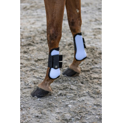 Gueteras Imperial Riding Lovely Gueteras Imperial Riding Lovely