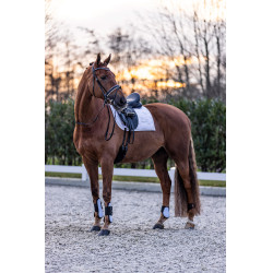 Gueteras Imperial Riding Lovely Gueteras Imperial Riding Lovely