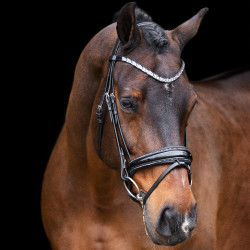Bridon Imperial Riding Olympia