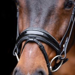 Bridon Imperial Riding Olympia Bridon Imperial Riding Olympia